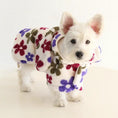 Load image into Gallery viewer, Small Dog Flannel Cape Towel by SOCKPET, white plush fabric with colorful floral pattern.
