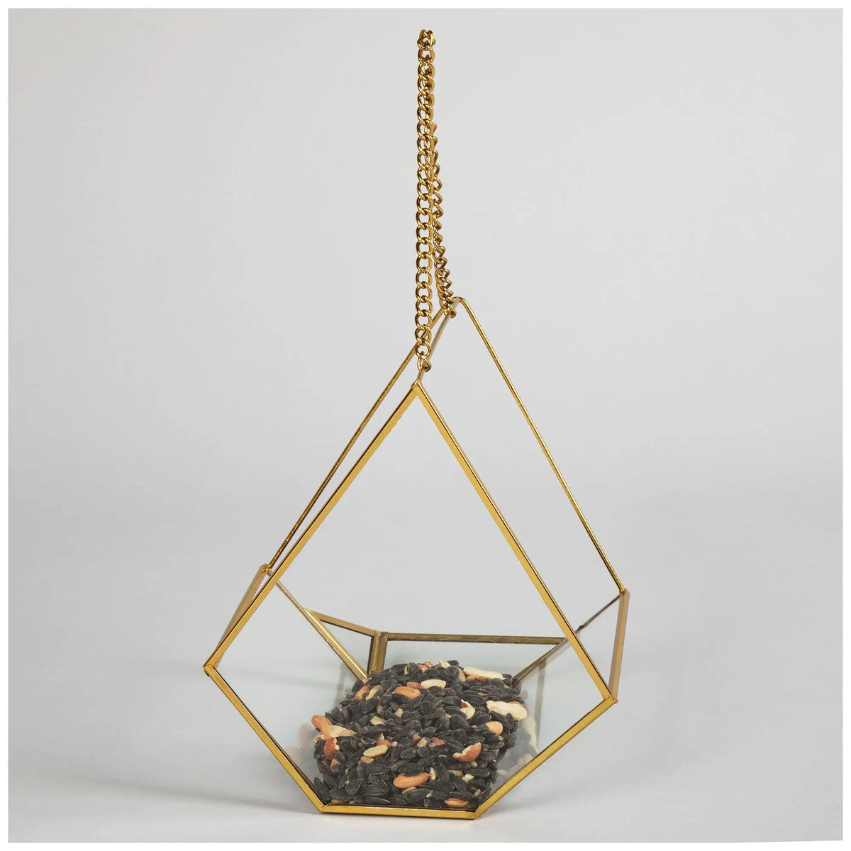 Open Air Glass Bird House hanging feeder with a gold frame, filled with mixed seeds for backyard birds.