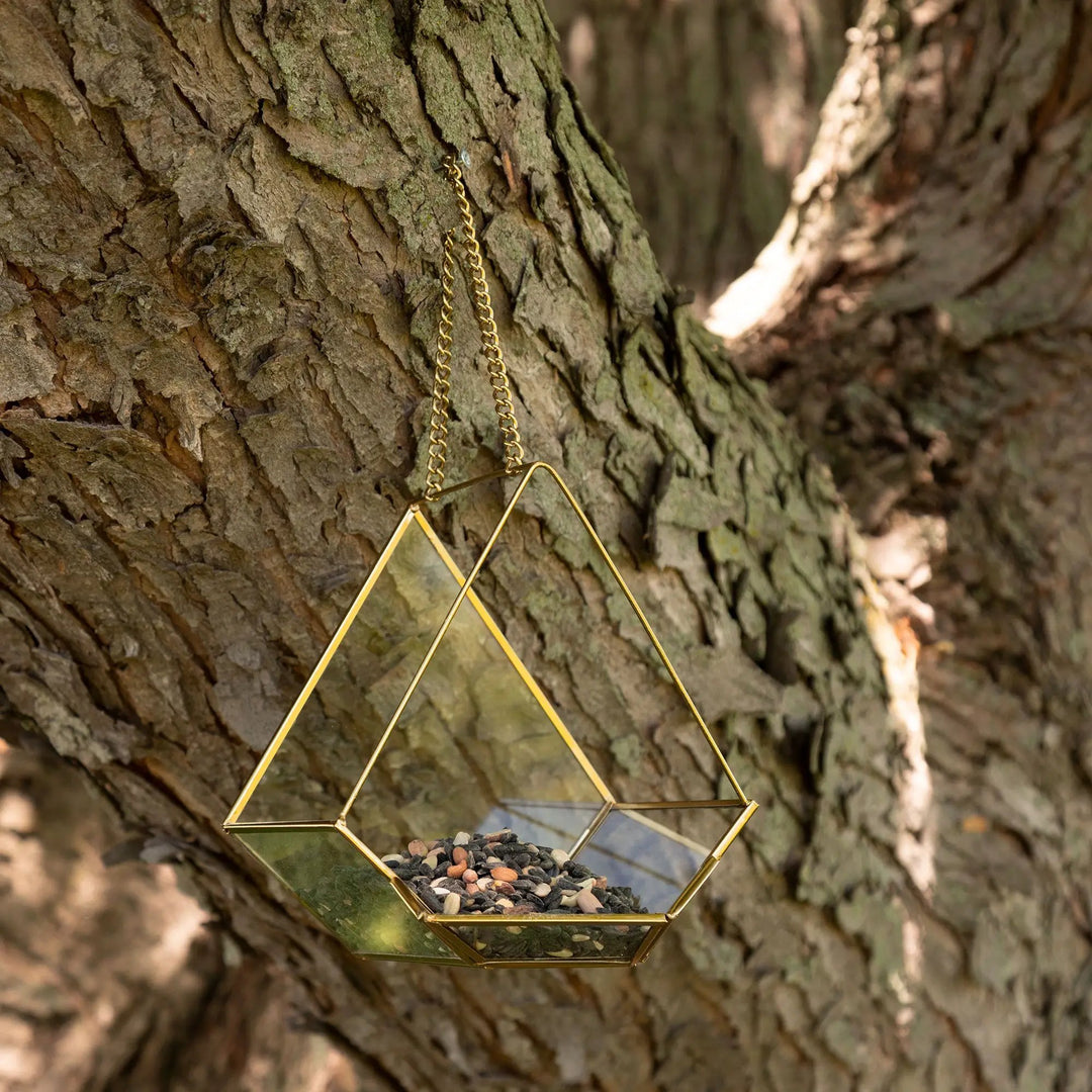 Open Air Glass Bird House with a gold metal frame and hanging chain, featuring diamond-shaped glass panes.