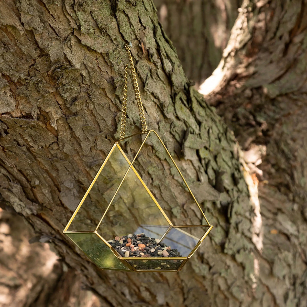 Open Air Glass Bird House with a gold metal frame and hanging chain, featuring diamond-shaped glass panes.