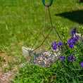 Load image into Gallery viewer, Open Air Glass Bird House by GreaterGood, hanging glass structure with gold frame and seed-filled interior.
