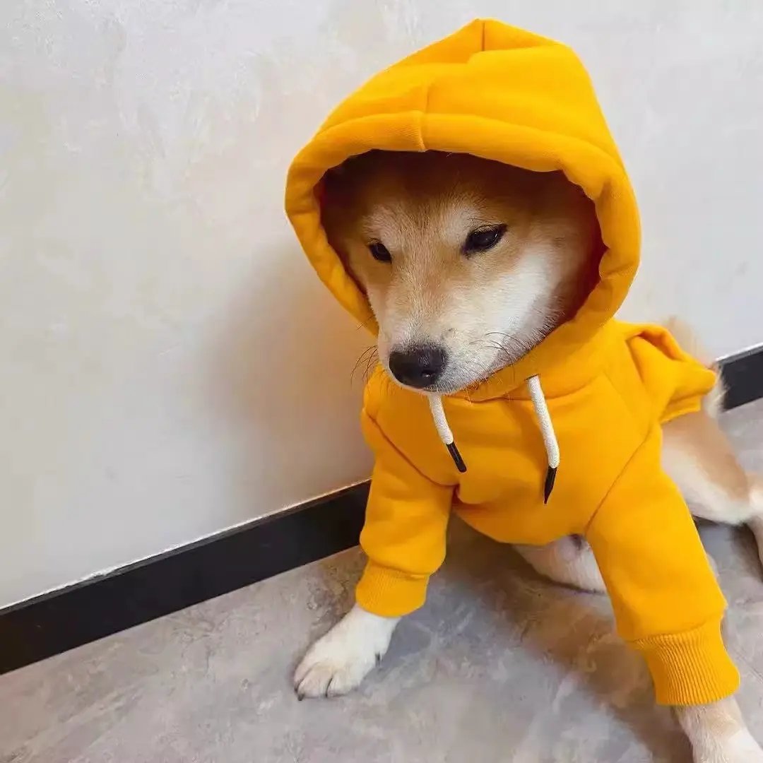 Spring Hoodie for Small & Medium Dogs in bright orange with white drawstrings