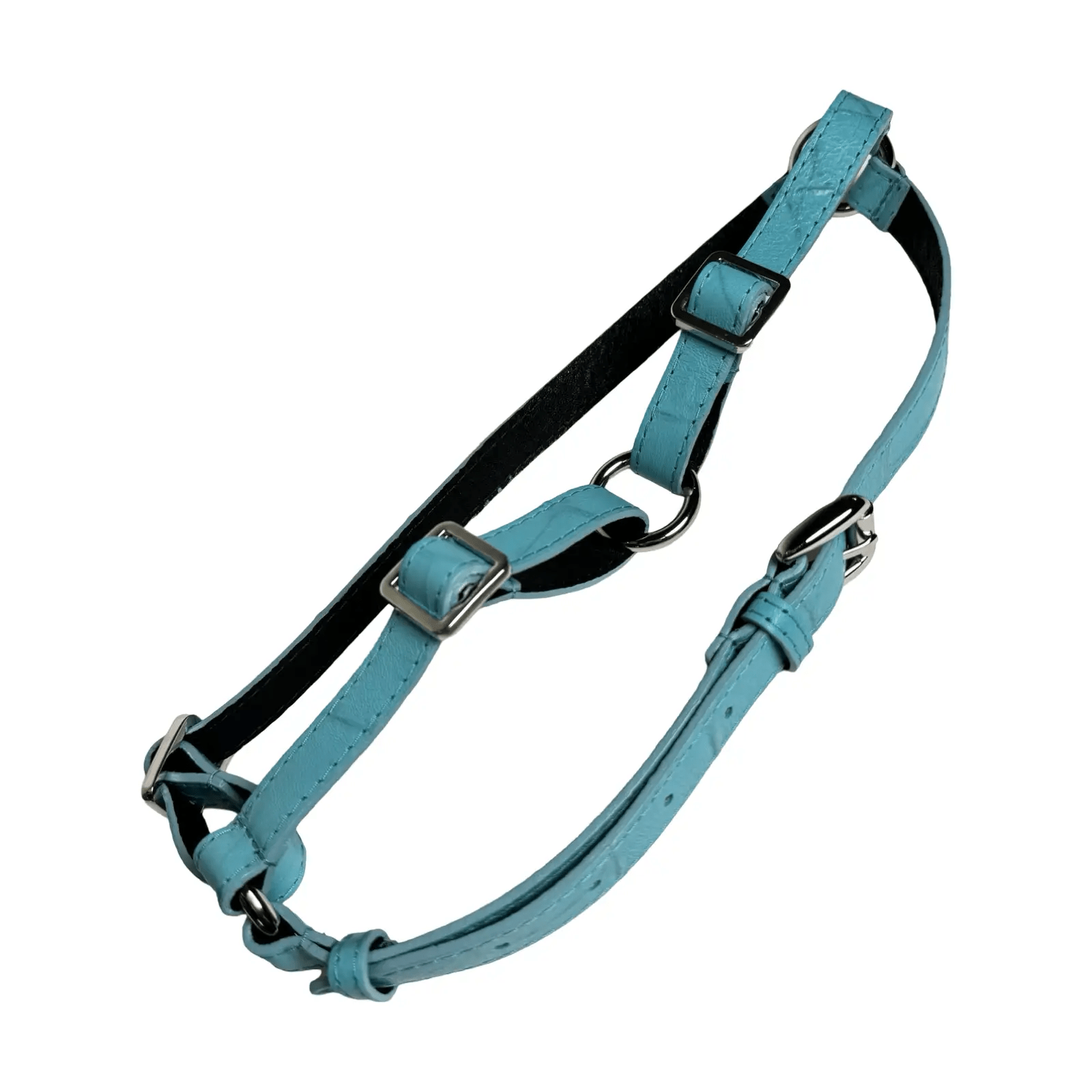 Tiffany Collection Turquoise Blue Harness by Allysa Payne Beverly Hills