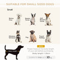 Charger l'image dans la visionneuse de la galerie, PawHut Luxury Fancy Dog Bed for Small Dogs with Hidden Storage by HouseOfZazla
