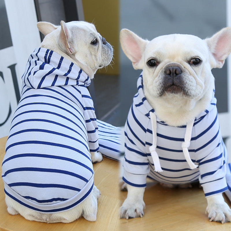 Dogs wearing blue-and-white striped hoodies