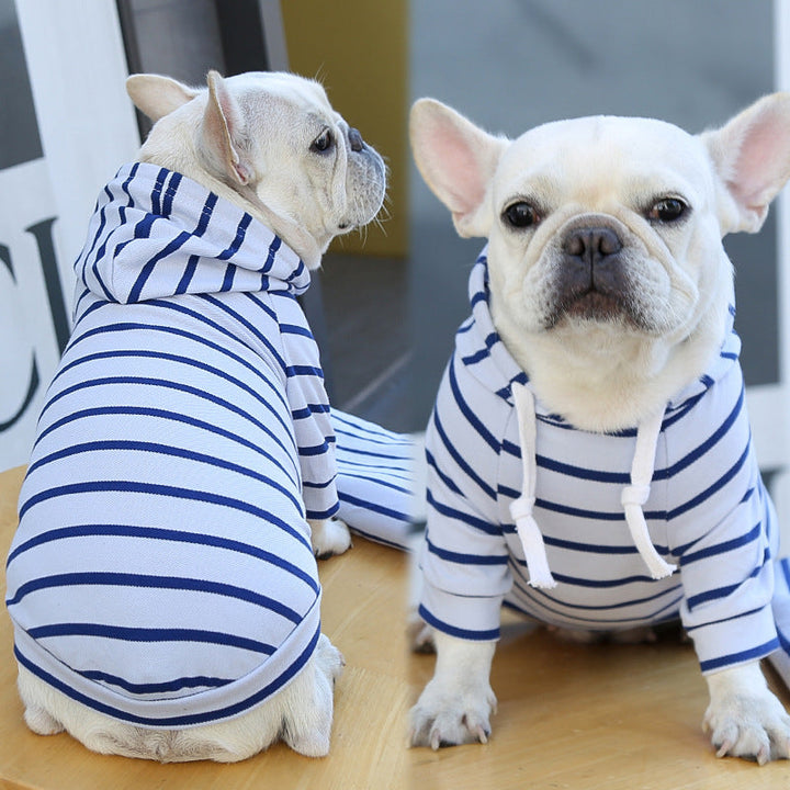 Dogs wearing blue-and-white striped hoodies