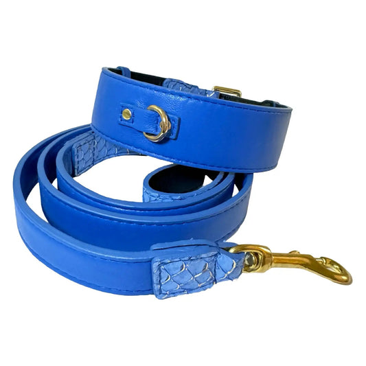 Malibu Classic Collar & Leash Set, blue leather with gold hardware, 2-piece.