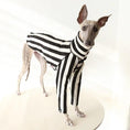 Cargar la imagen en la vista de la galería, Whippet & Greyhound striped shirt for dogs; black and white vertical stripes with a turtleneck.
