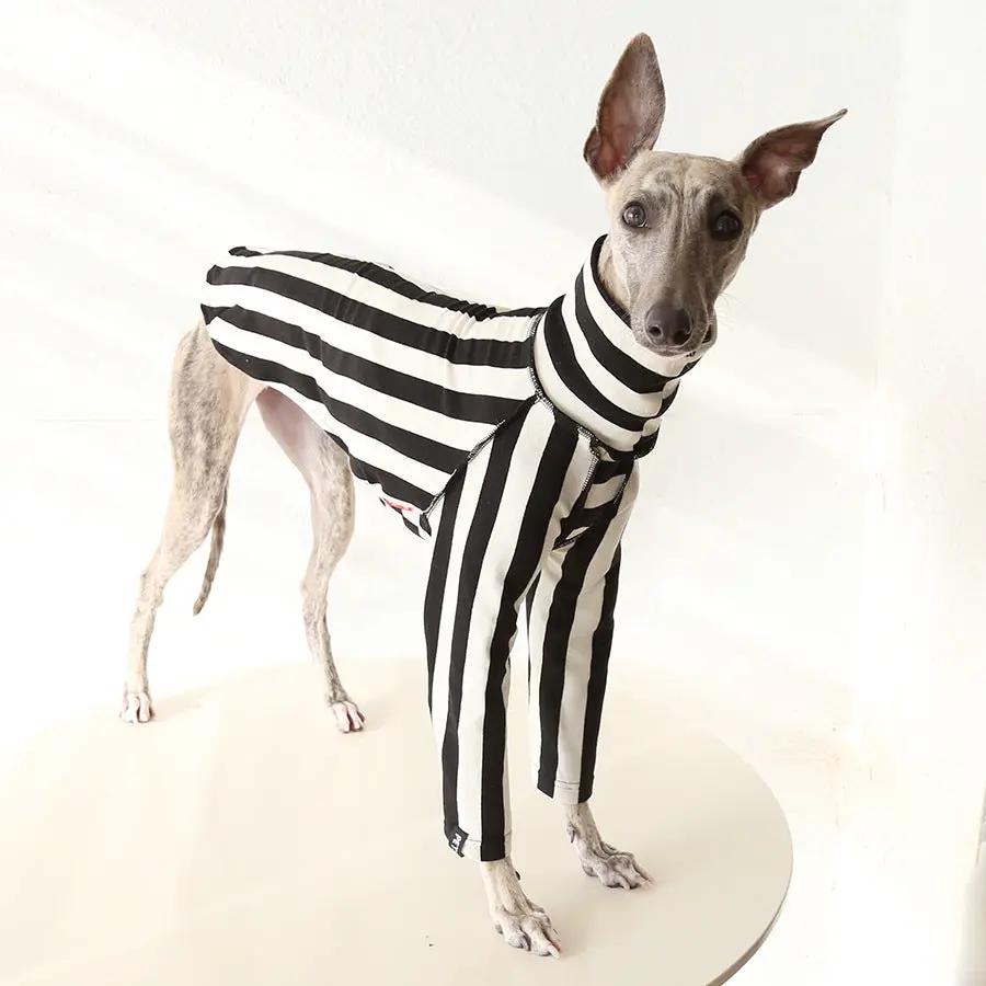 Whippet & Greyhound striped shirt for dogs; black and white vertical stripes with a turtleneck.