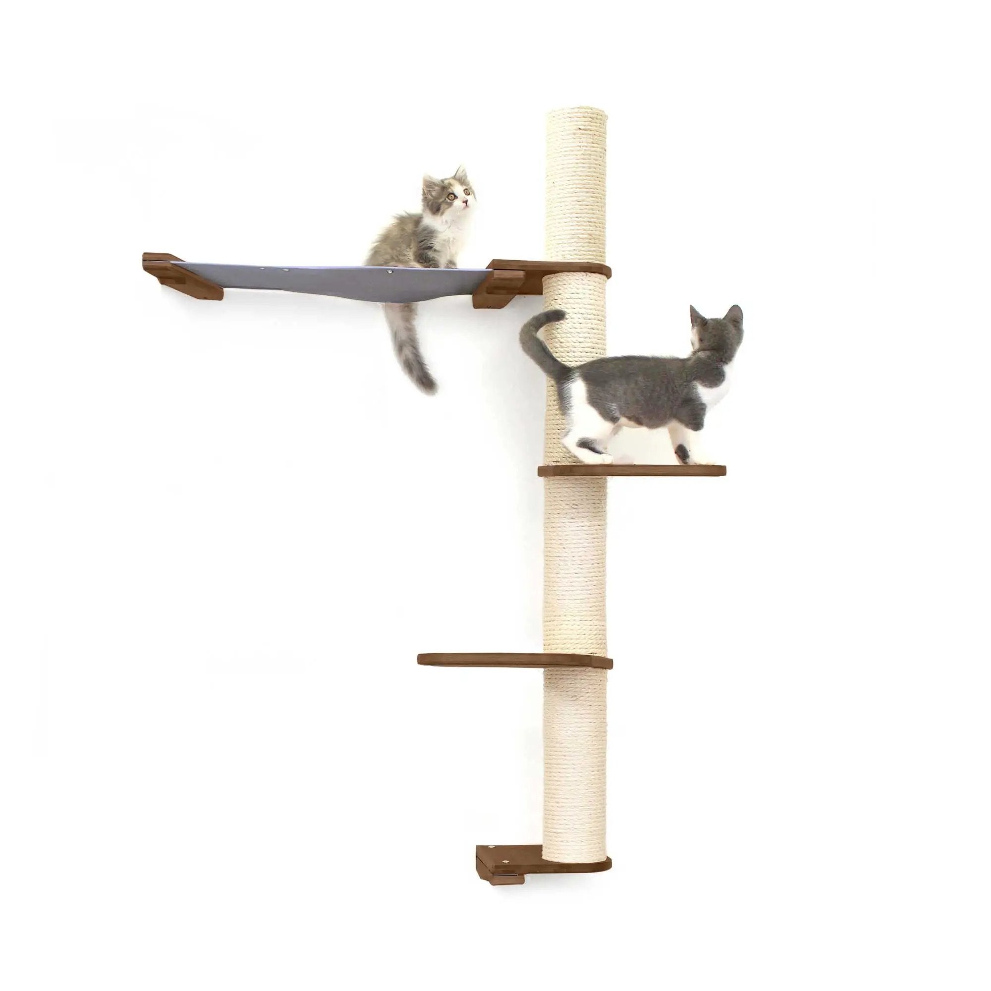 The Crow's Nest wall cat condo by Catastrophic Creations; sisal rope post, wooden platforms, hammock, two kittens.