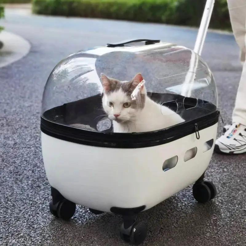 Transparent capsule pet travel trolley carrier with wheels, white base and clear dome showing a cat inside.