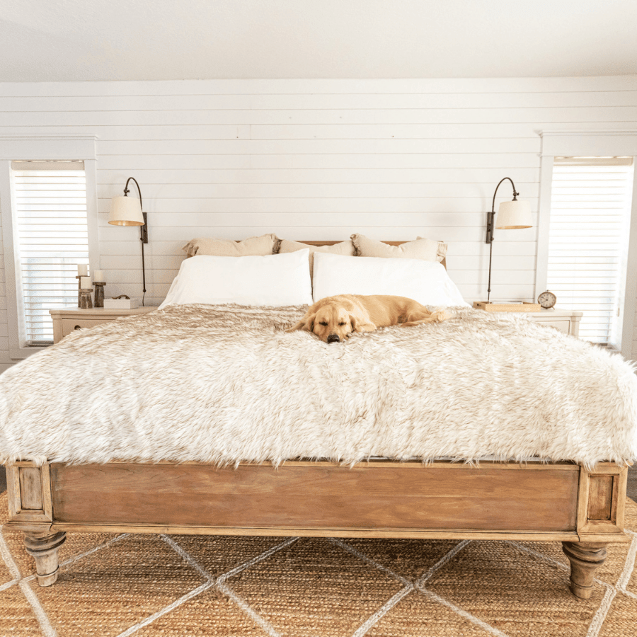 PupProtector™ Waterproof Throw Blanket for dogs, white with brown accents, on a bed with a resting golden retriever.