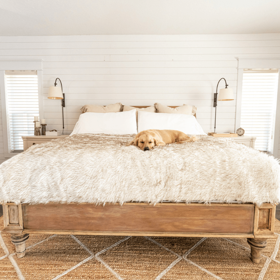 PupProtector™ Waterproof Throw Blanket for dogs, white with brown accents, on a bed with a resting golden retriever.