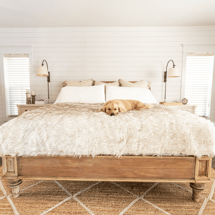 PupProtector™ Waterproof Throw Blanket for dogs, white with brown accents, on a bed with a resting golden retriever.