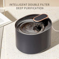 Load image into Gallery viewer, Silent Automatic Pet Water Fountain USB Rechargeable Electric Feeder by Vivalo
