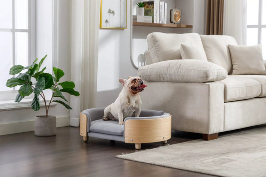Scandinavian Style Elevated Dog Bed Pet Sofa Velvet Cushion Mid Size Light Grey by HouseOfZazla
