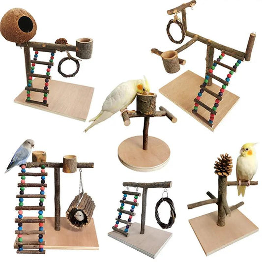 Premium Solid Wood Parrot Station Frame Training Bird Shelf Stand by Sell My Stuff