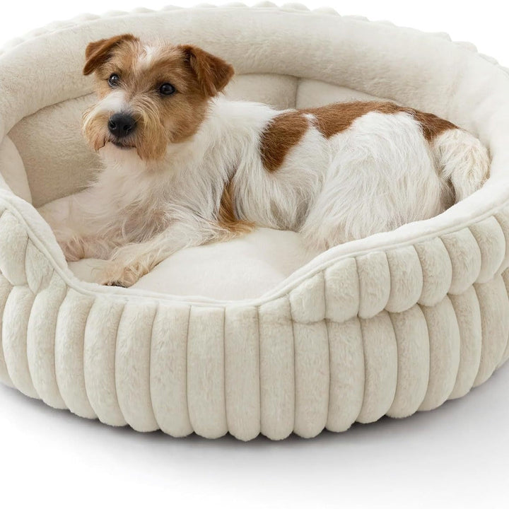 Small dog in cream ribbed pet bed