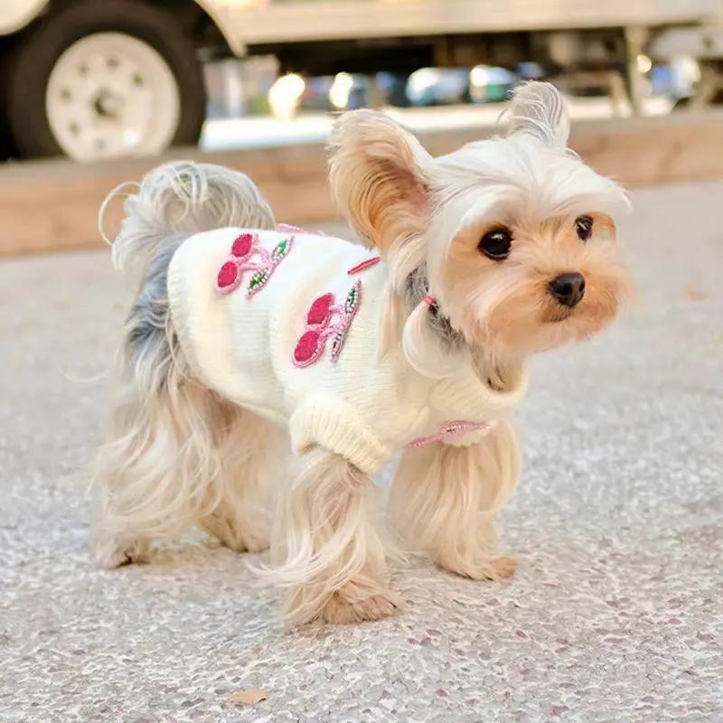 SOCKPET small dog cherry print sweater; white knit with pink cherry embroidery