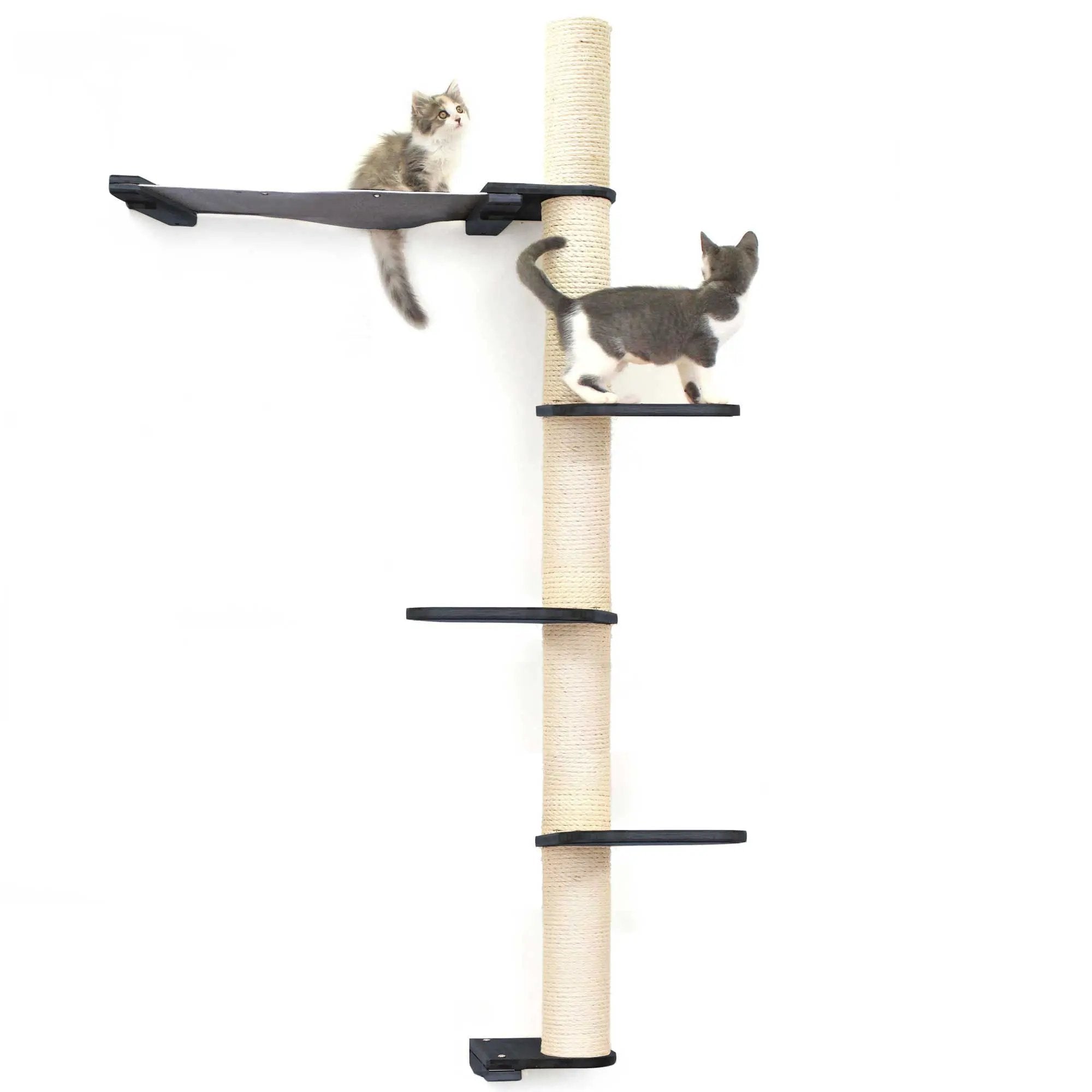 The Crow's Nest wall cat scratcher with hammock; rope-wrapped post and two black platforms, two kittens.