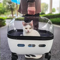 Carica l'immagine nel visualizzatore della galleria, Transparent Capsule Pet Travel Trolley Carrier by VIP Digital Presence; wheeled carrier, white base, black trim
