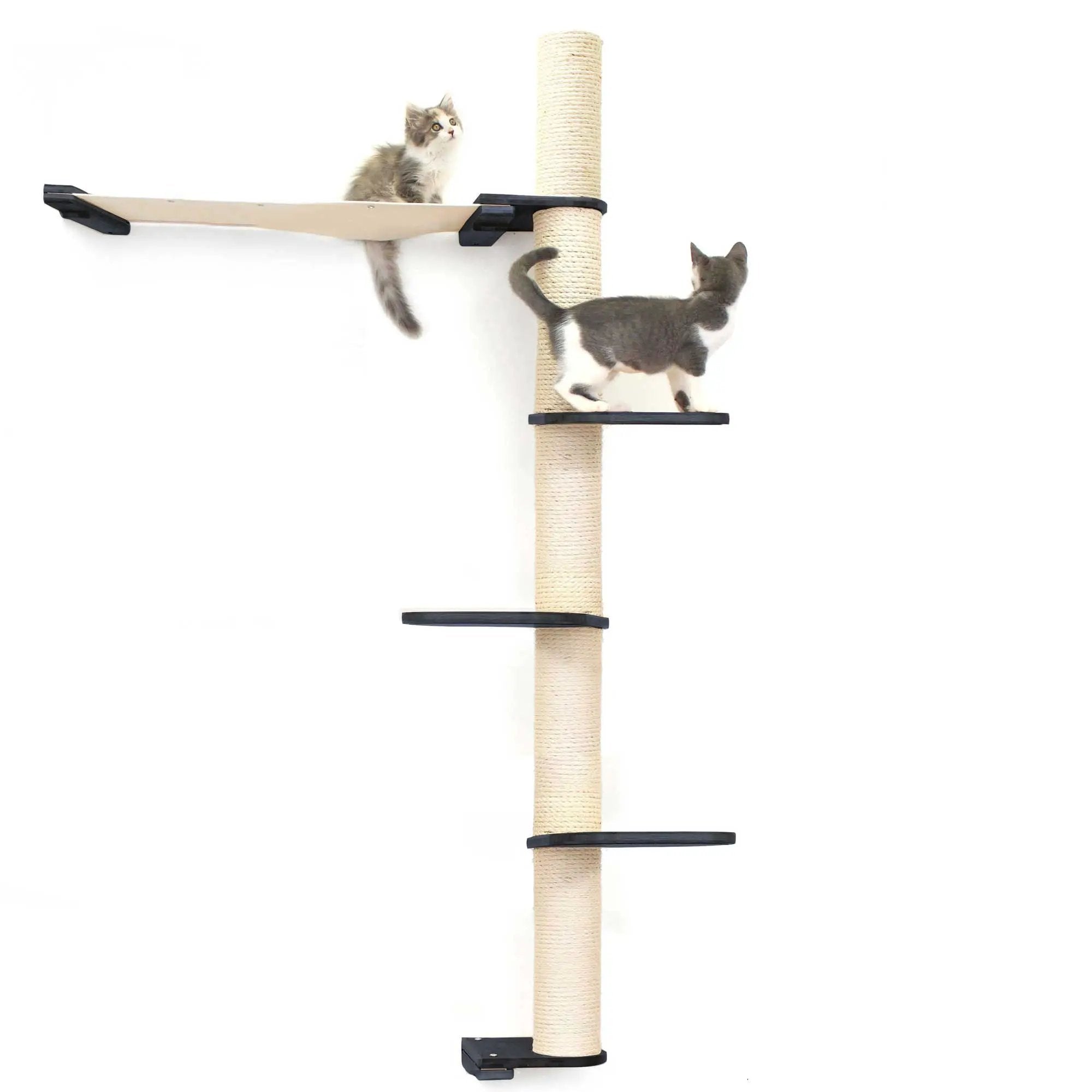 The Crow's Nest wall cat condo by Catastrophic Creations with beige sisal rope post and hammock