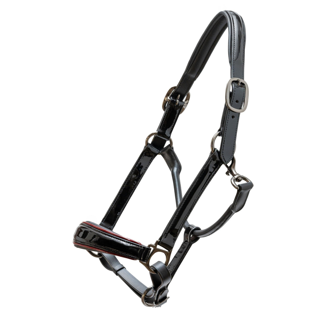 Halter Ego Hayworth Black Patent Leather Horse Halter with Burgundy Piping