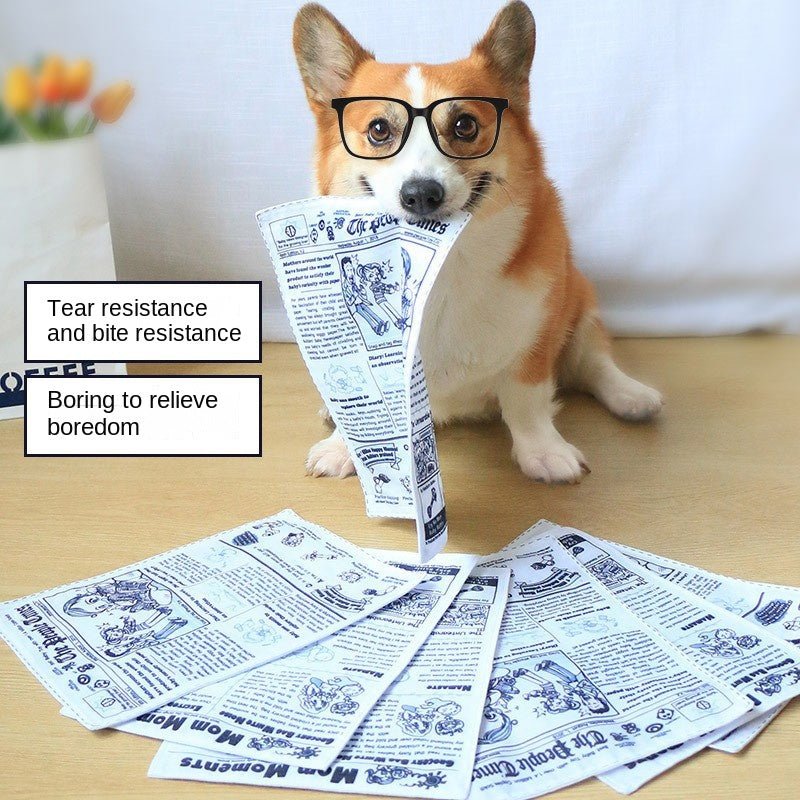 Crinkle Newspaper &amp; Playing Card Dog Toy – photo 3