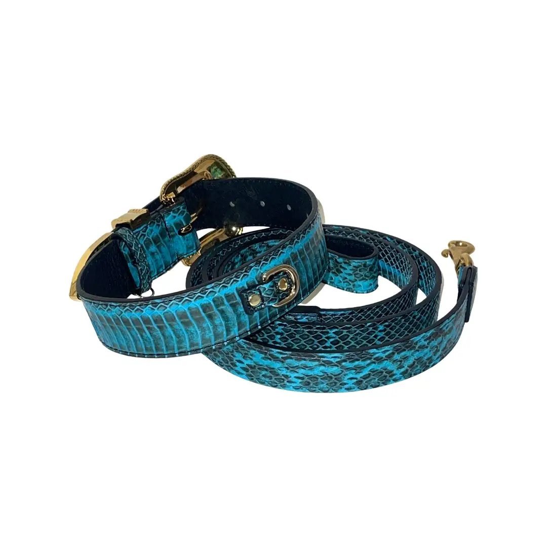 Turquoise and black snakeskin collar and leash set with Swarovski crystal hardware by Allysa Payne Beverly Hills