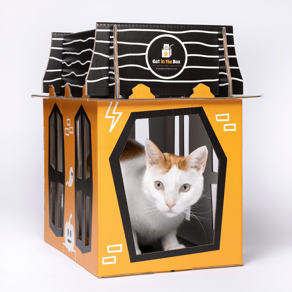 Spooky Cat Haunted House Cardboard Condo by Cat in the Box LLC; orange box with black windows and a cat inside