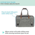 Load image into Gallery viewer, Mr. Peanut's Gold Series Big Apple XL Expandable Pet Carrier V3.0, air travel approved, gray fabric with brown handles

