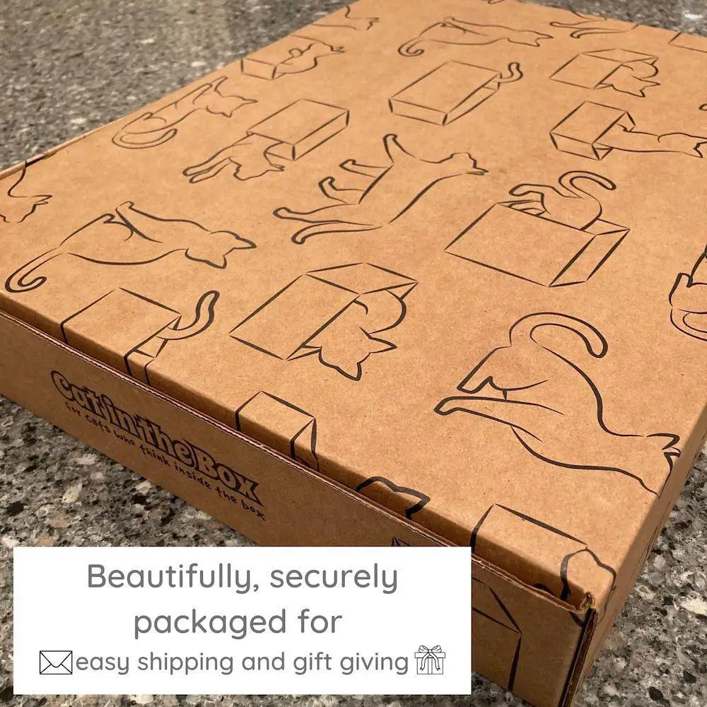 Spooky Cat Haunted House cardboard cat condo by Cat in the Box LLC; brown corrugated box with black cat illustrations.