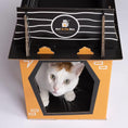 Load image into Gallery viewer, Spooky Cat Haunted House Cardboard Condo; Cat in the Box LLC orange and black cat house with hex window.
