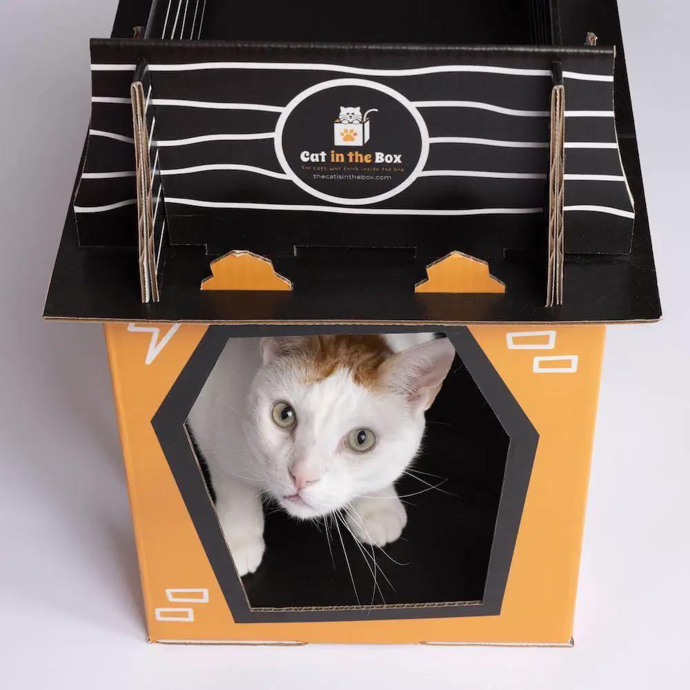 Spooky Cat Haunted House Cardboard Condo; Cat in the Box LLC orange and black cat house with hex window.