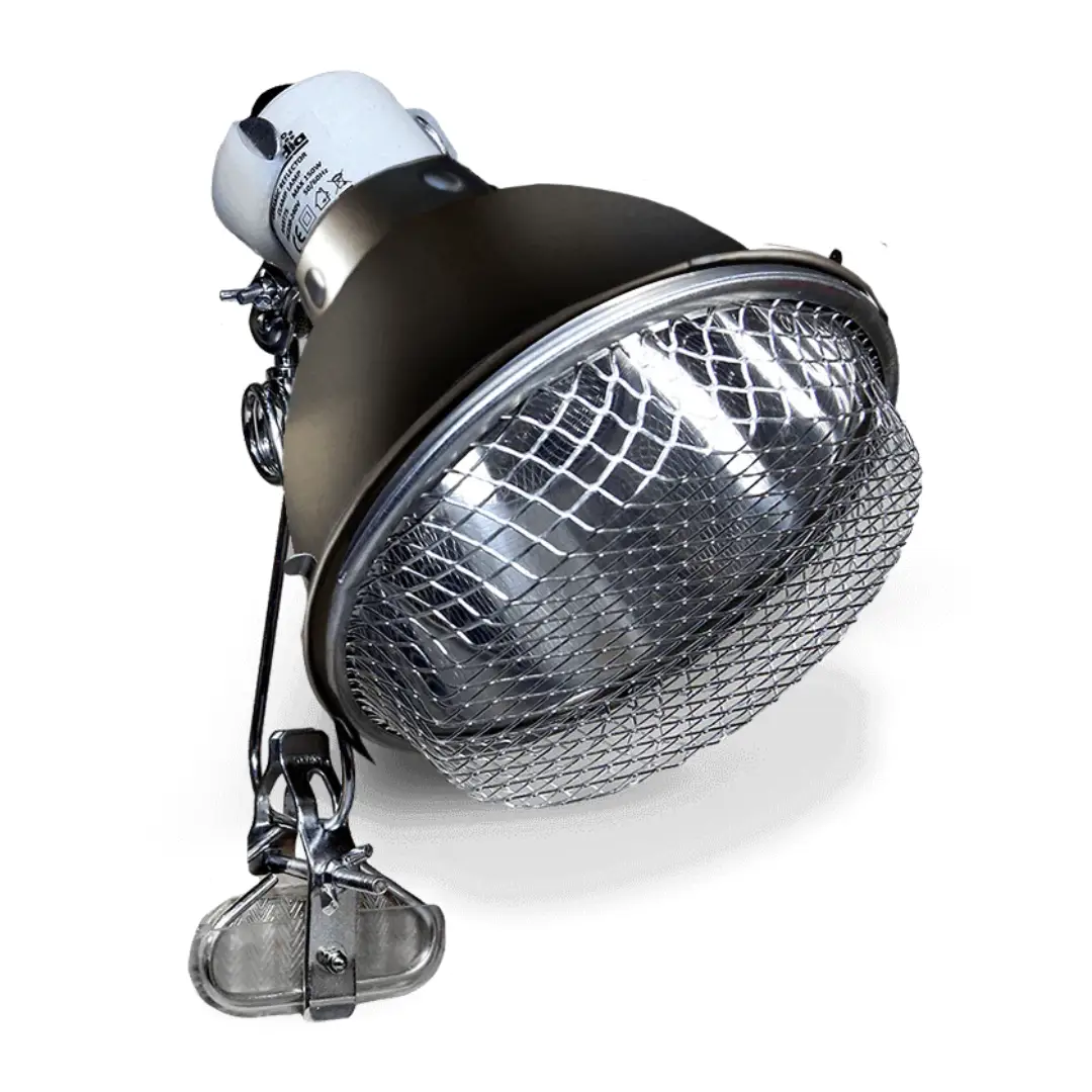 Arcadia Ceramic Reflector Clamp Lamp, graphite finish, by ReptiChip LLC for reptile heating.