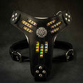 Load image into Gallery viewer, Bestia Atlantis black and chameleon leather dog harness
