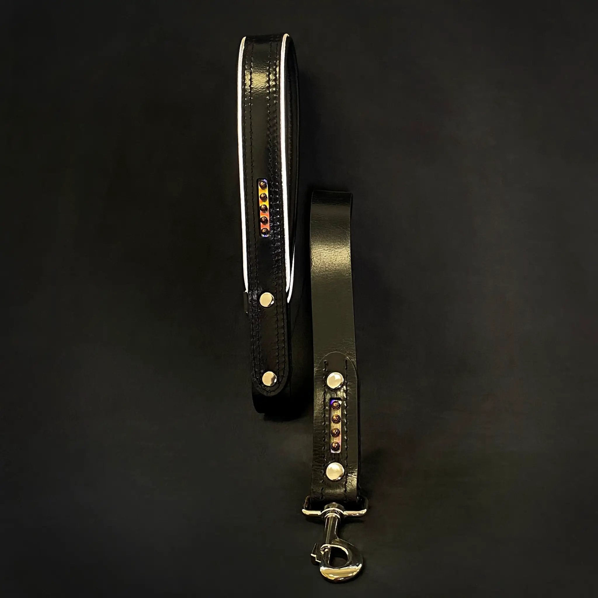 The Atlantis Leash - Pet Leashes from Bestia Dog Gear