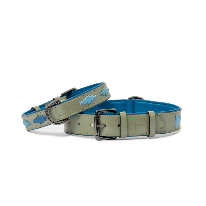 Halter Ego Azura Leather Dog Collar