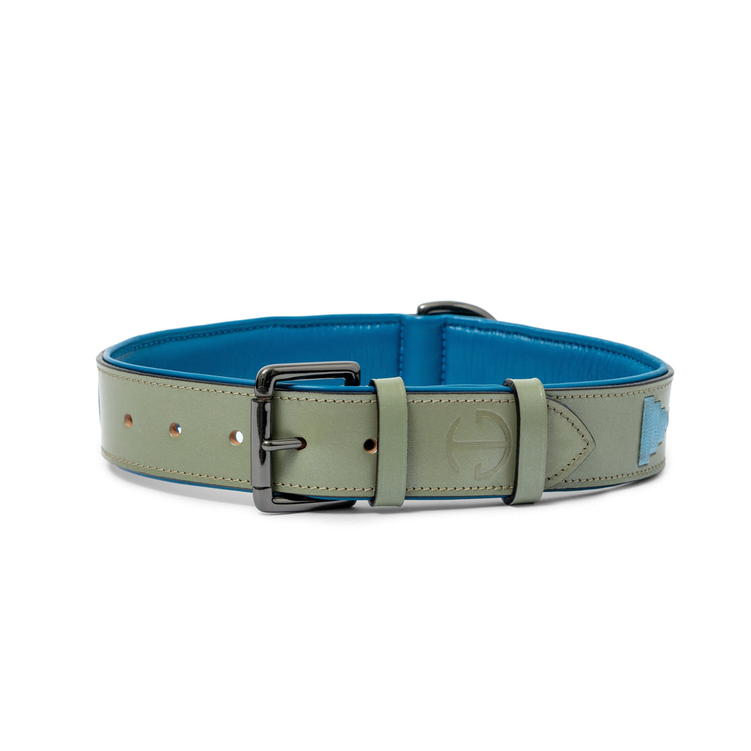 Halter Ego Azura Leather Dog Collar