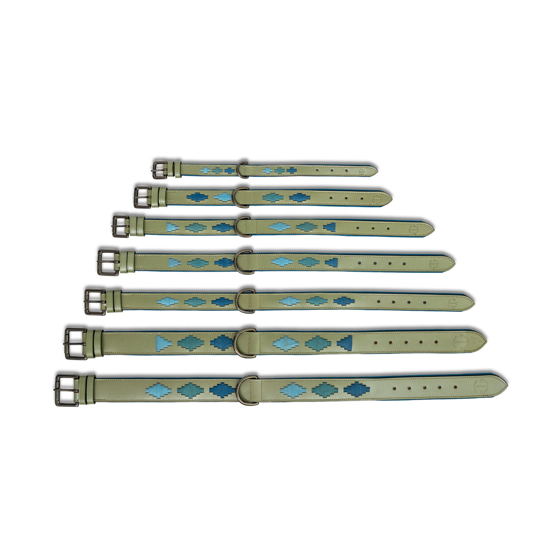 Halter Ego Azura Leather Dog Collar shown in every size, XS to 3XL