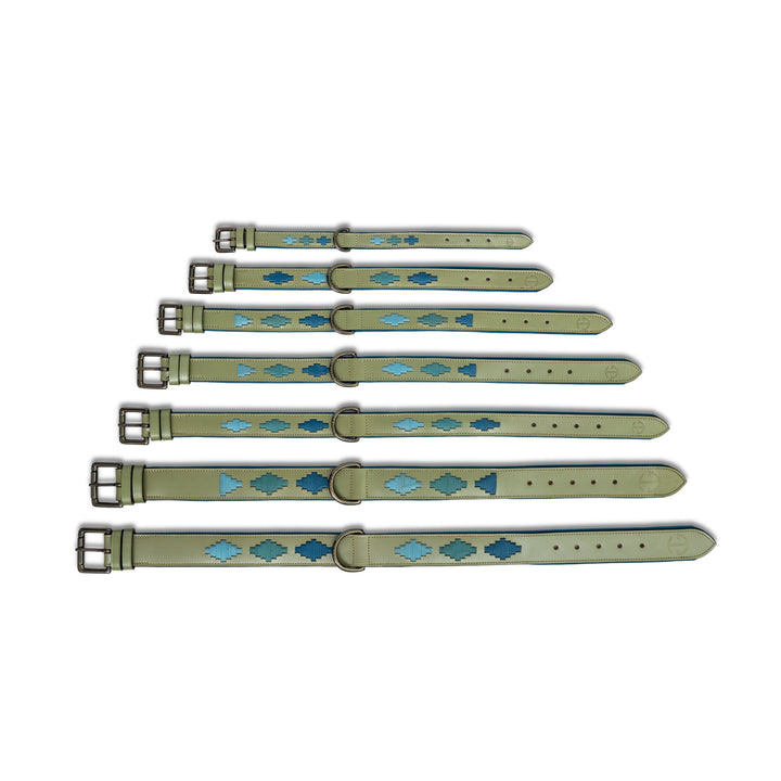 Halter Ego Azura Leather Dog Collar shown in every size, XS to 3XL