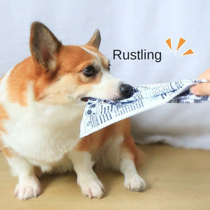 Crinkle Newspaper &amp; Playing Card Dog Toy – photo 2
