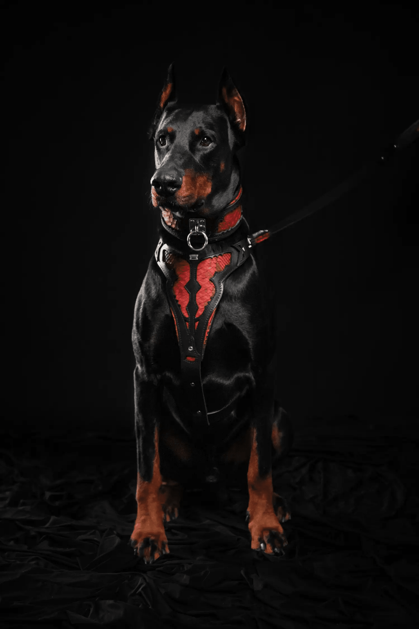 The ''Red Dragon'' harness - Pet Collars & Harnesses from Bestia Dog Gear