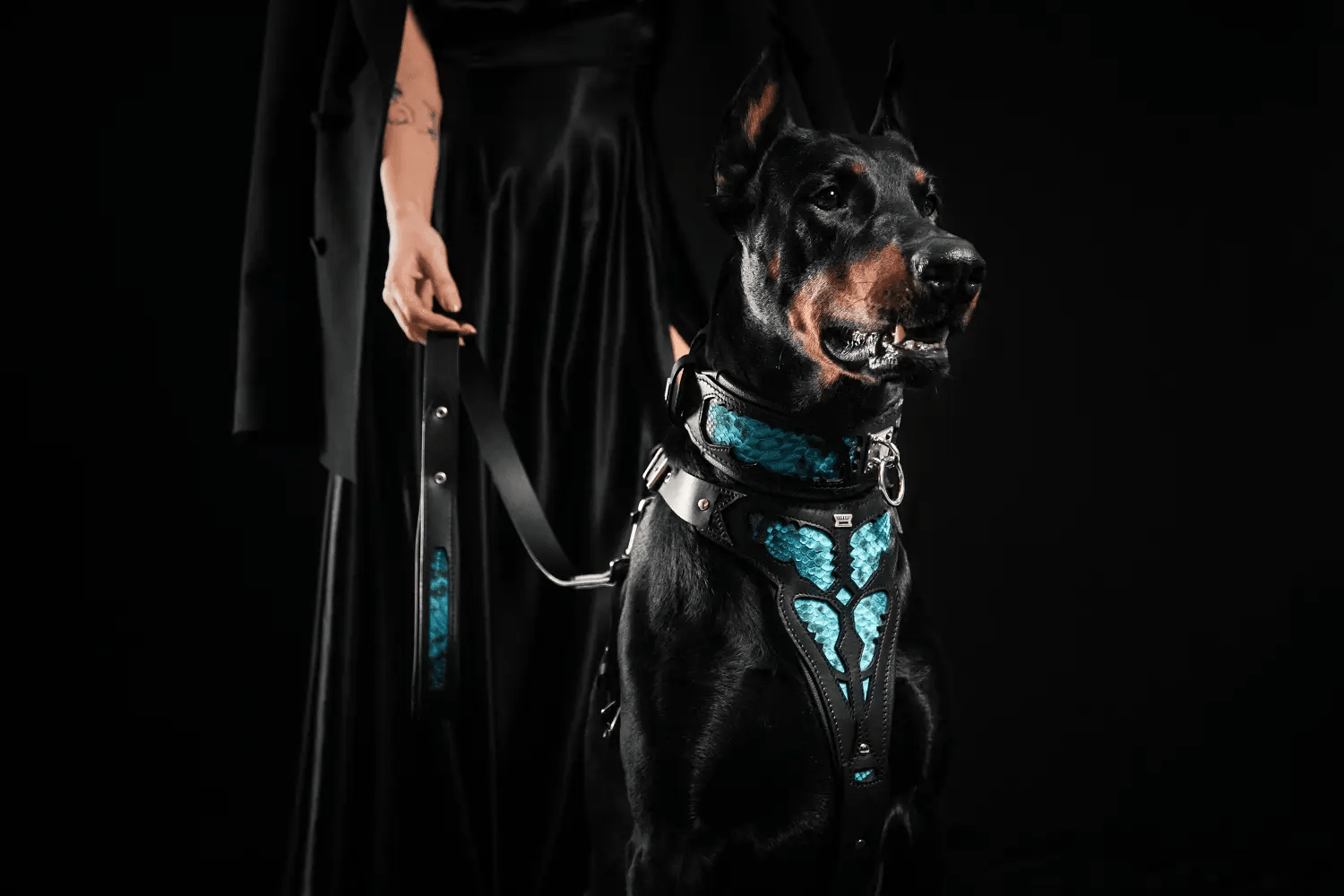 The ''Morelia Python'' collar - Pet Collars & Harnesses from Bestia Dog Gear