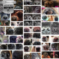 Load image into Gallery viewer, 1 Dog Nose Butter For All Dogs
