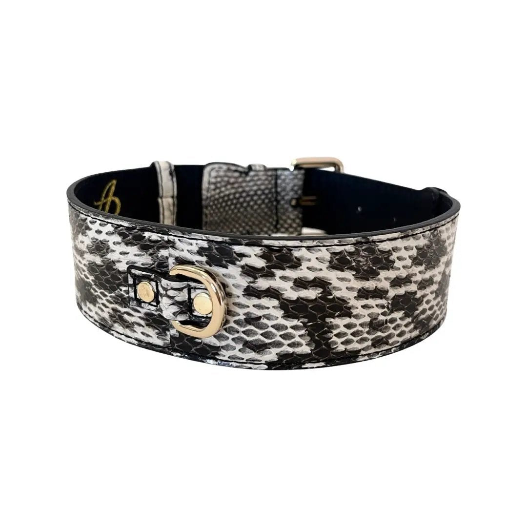 White & Black Snake Collar by Brand With Gold Hardware by Allysa Payne Beverly Hills