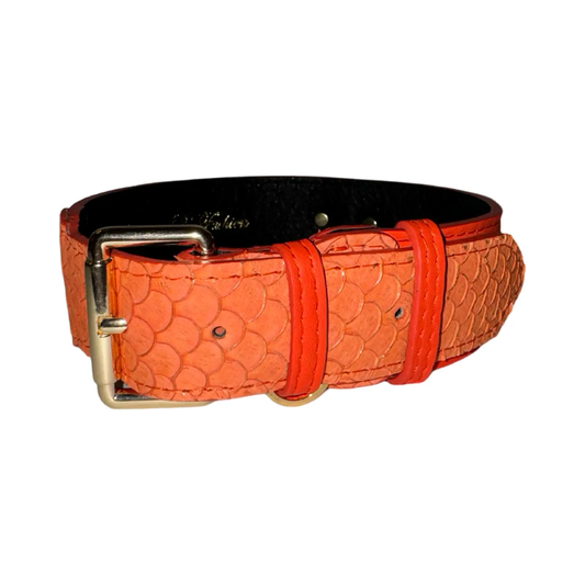 The Perfect Orange Classic Collar, orange textured leather with metal buckle by Allysa Payne Beverly Hills