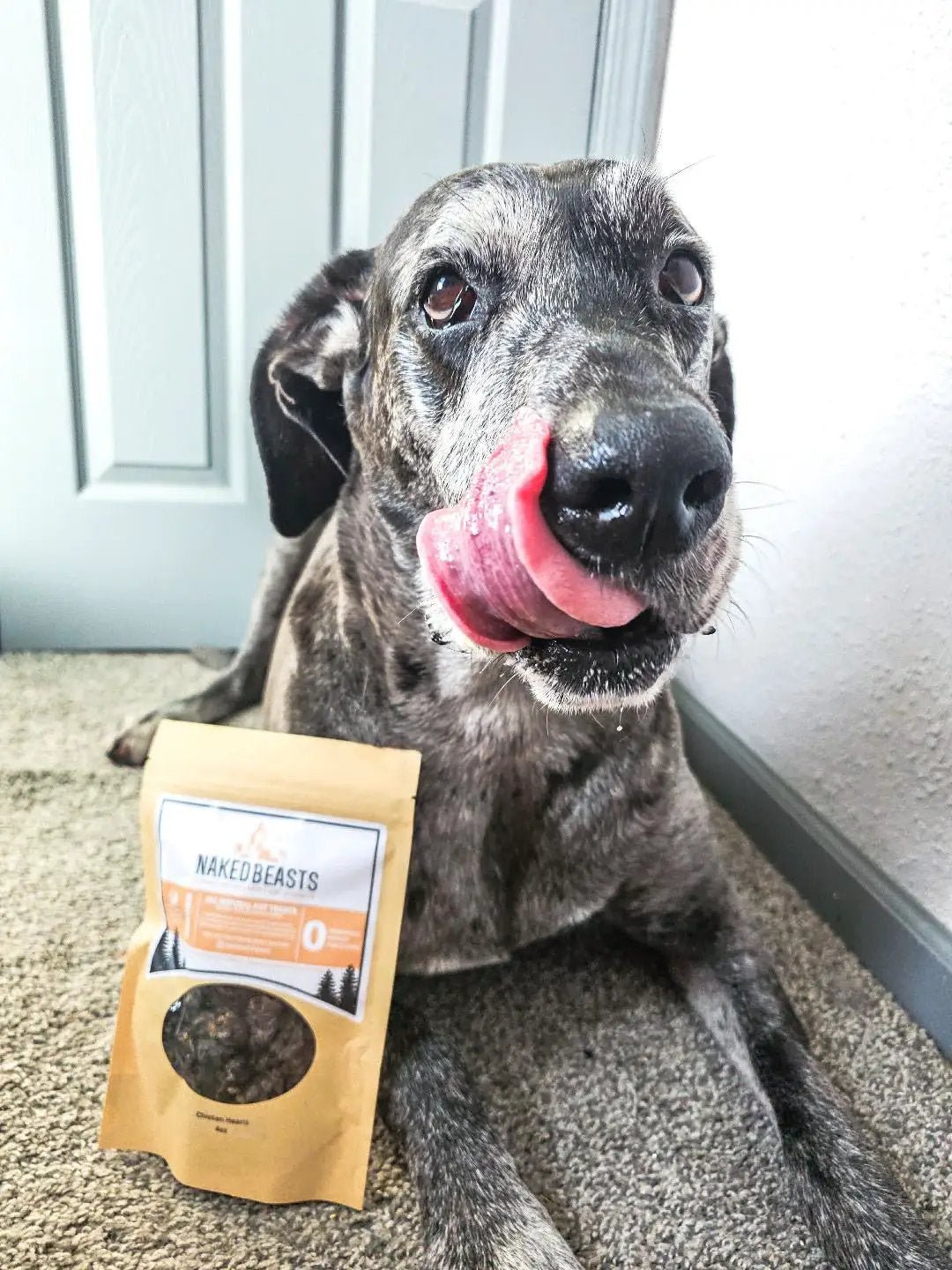Chicken Hearts small animal treats by Naked Beasts in an orange pouch beside a dog