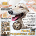Load image into Gallery viewer, Stinky Filthy Dog Shampoo & Soap
