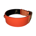 Load image into Gallery viewer, The Perfect Orange Classic Collar by Allysa Payne Beverly Hills, orange leather with gold buckle.
